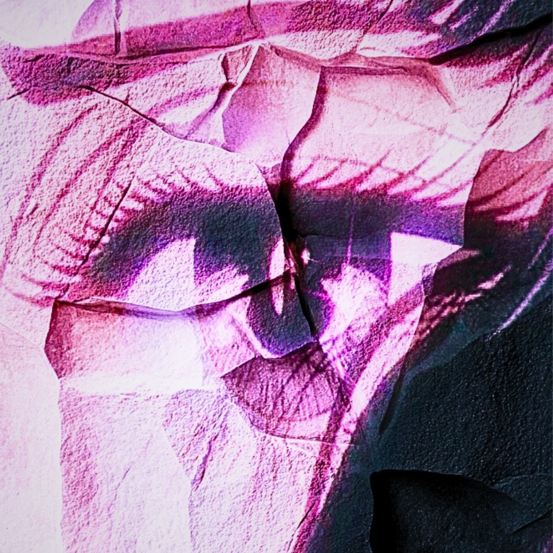 S P / / W’s avatar