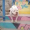 andriu