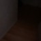 Ditto205
