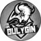 DM.BULYGIN