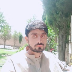 Asim Jan