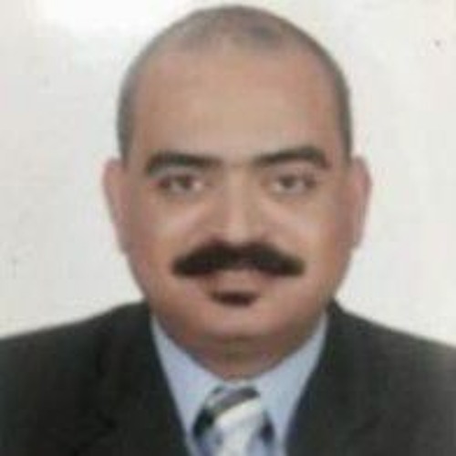 Mina Mourad Raghb’s avatar