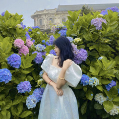 Quynh Anhh