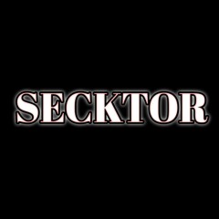 DJ SECKTOR