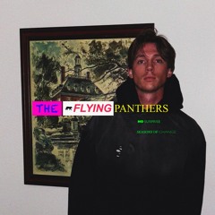 The Flying Panthers