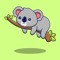 koala lover