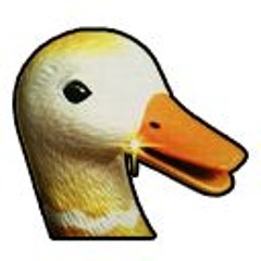 typhdotcom