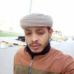 حمزه الشربيني