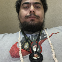 losguachosdemichoacan