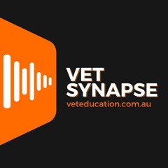 Vet Synapse Podcast