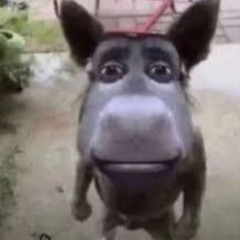 Калека Макс