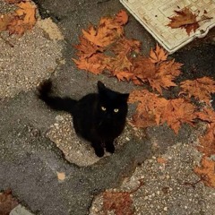 october
