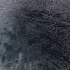 Land covered with Briar