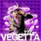 Vash_TS