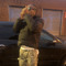 qmoe