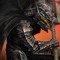 guts