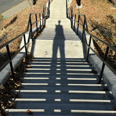 Hoa sữa mùa đông