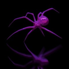 4DEE SPIDER