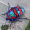 Luzia