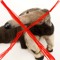 antEaterHATER!!1!