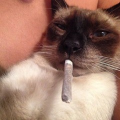 ‎ ‎ ‎ ‎