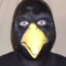 Rapstar wille