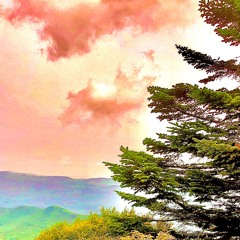 treehome