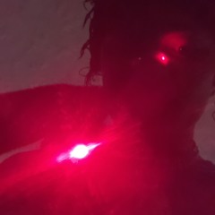 fuck yall fake wannabe