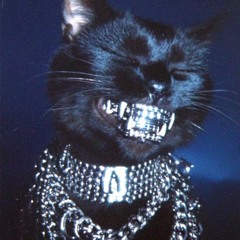 𝔾𝕒𝕥𝕥𝕠𝕟𝕖𝕣𝕠