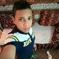 محمود يوسف البوشي