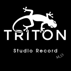 beats by Triton