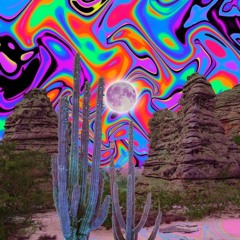 cacti !