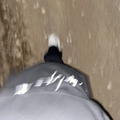 esskayw!