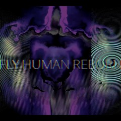 FLY | HUMAN | REBORN