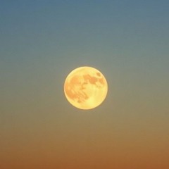 Arild Håkon Iversen playlist