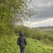 Jersey Barrs