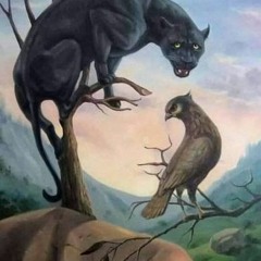 سميره
