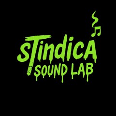 sTindicaMartiin