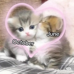 OCTOBER X JUNE