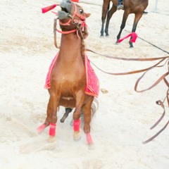 La femme cheval et le petit orchestre