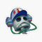 Safety_Manuel