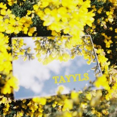 TAYYLS
