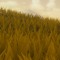 TerminalC47 Skyline