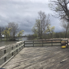 Spongebob Naturepantz