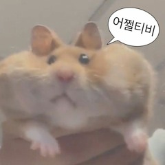 김융