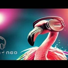 Dj_Flamingo.q8