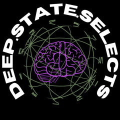 The DSP Collective: {DEEP.STATE.SELECTS}