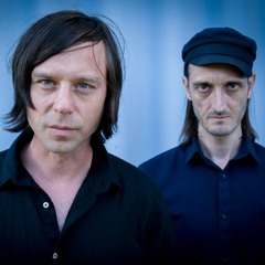 der schwarze schwarm