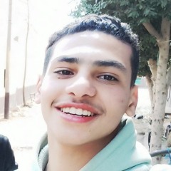 Ahmed Tamer
