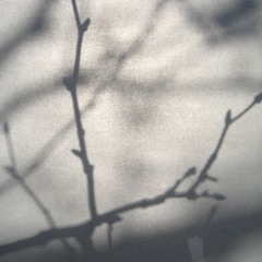 Lufttraum